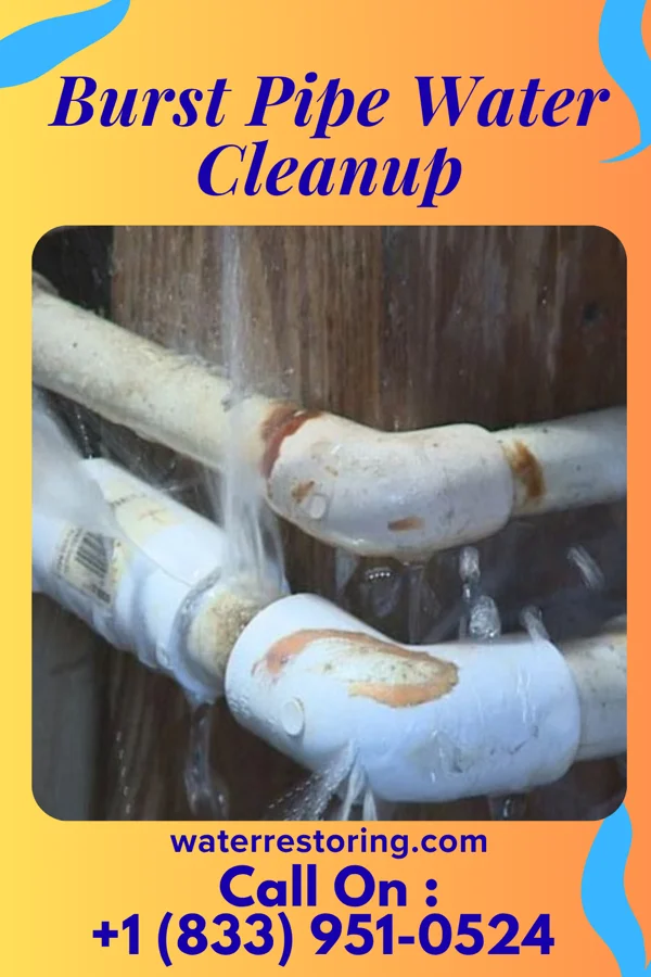 Burst Pipe Water Cleanup in Notasulga, AL